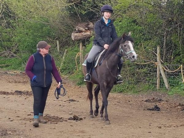 Blue Delphinium being ridden 