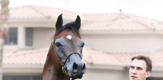 10th Annual Scottsdale New Year Farm Tour