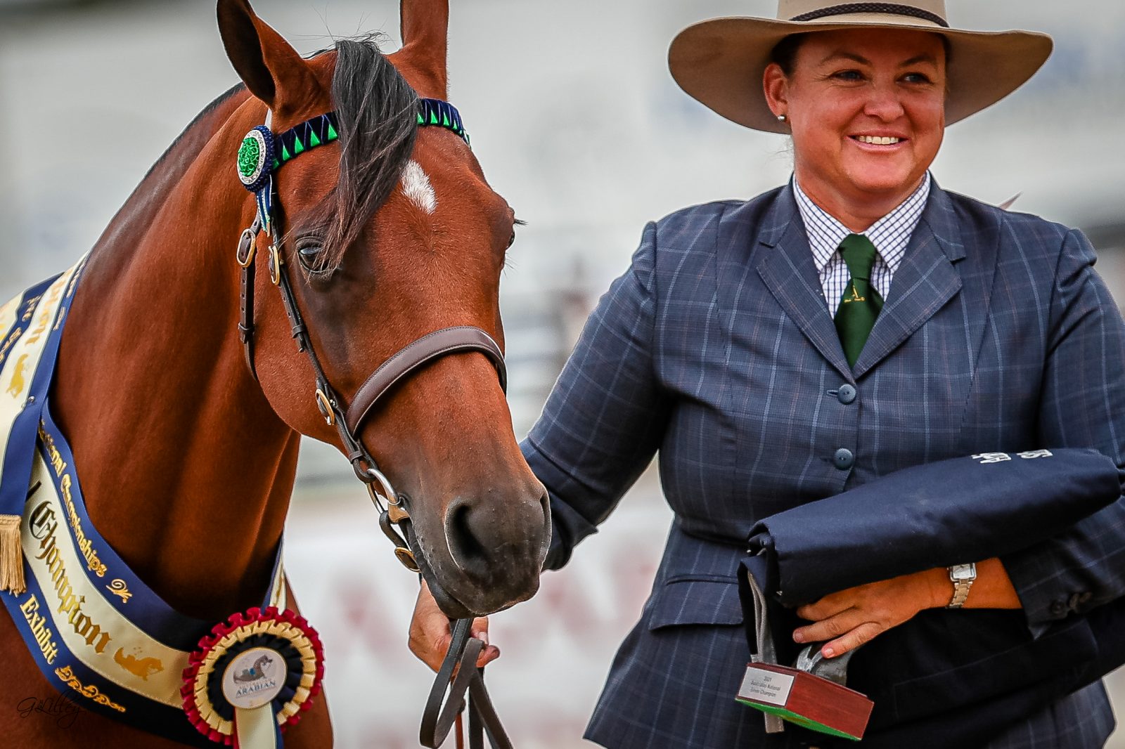The 2021 Australian Arabian National Championships Part I - The Arabian ...