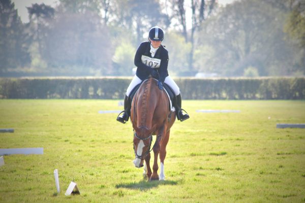 Avonbrook Odin post dressage