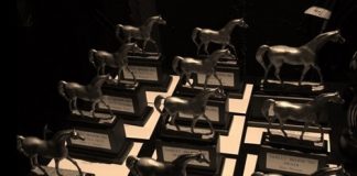 2016 Darley Nominees Released by Arabian Racing Cup