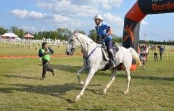 What next for Madjin?