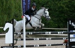 XXII Arabes & Co 2016 International Show & Sport in Mioño (Spain)