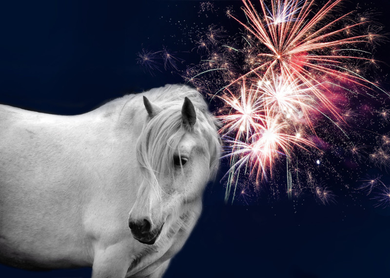 Tips for managing your horse on Fireworks Night The Arabian Magazine