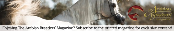 Subscribe banner