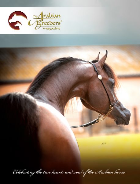 The Arabian Breeders' Magazine Herodotus Al Shiraa 