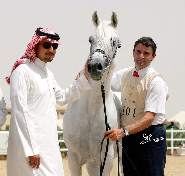 Farres Riyadh Show HH Prince Abdullah bin Fahad Al Mohamadia Stud