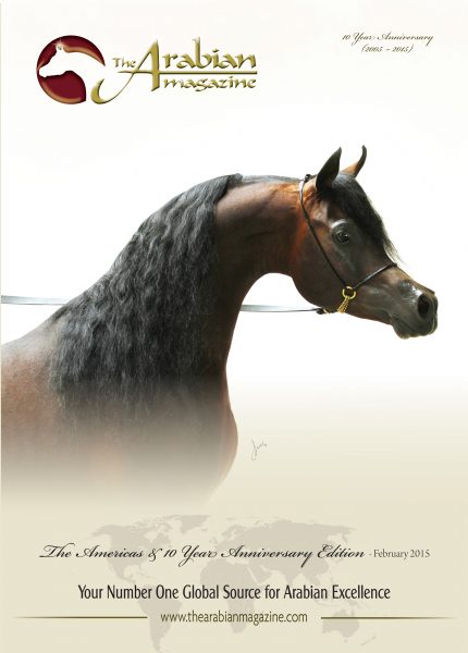 Emerald J QR Marc Emandoria Jadem Arabians Al Muawd Stud The Arabian Magazine