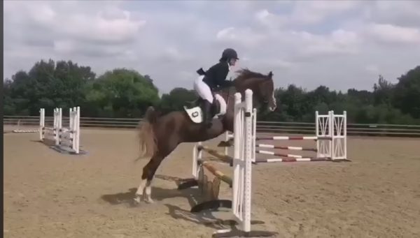 Annia Aurelia jumping 90cm 