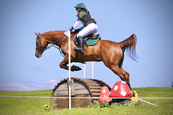 Avonbrook Odin at Barbury Castle 