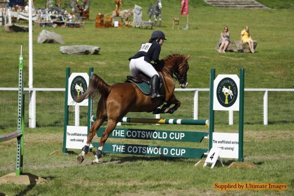  Avonbrook Odin in the showjumping