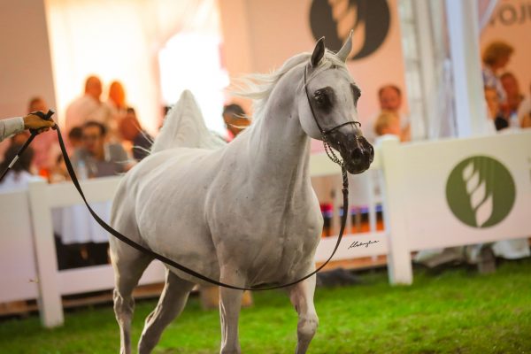 Palanga Polish National Championships