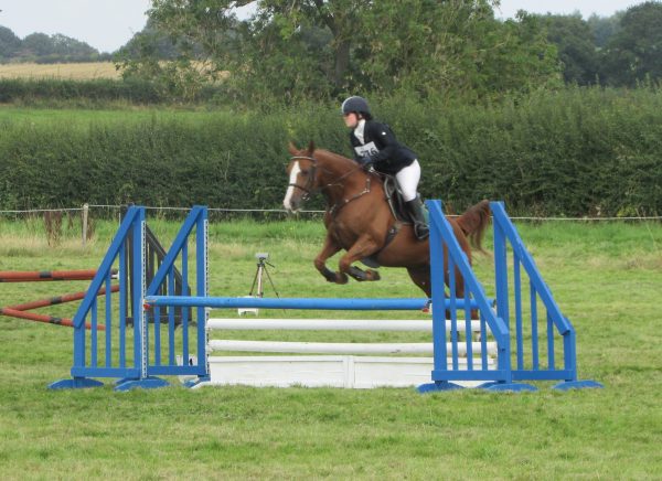 Avonbrook Odin in the showjumping at Sapey (c) Becky Bertram