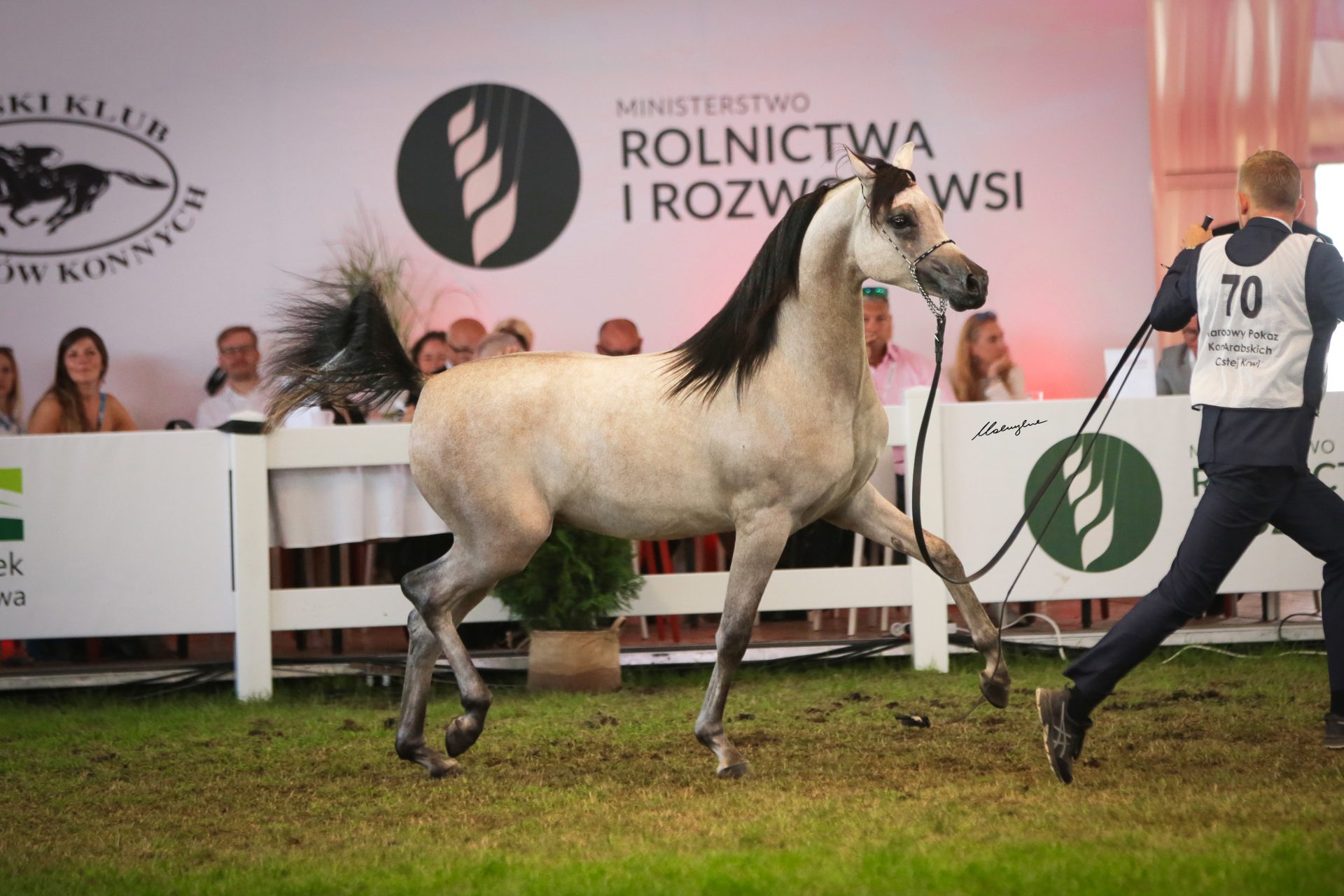 Polish National Championships 2021 The Arabian Magazine