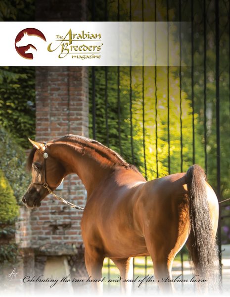 The Arabian Breeders' Magazine RFI Unique