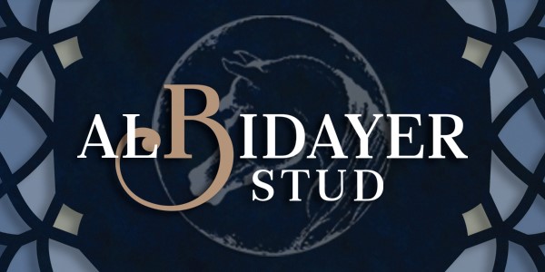 Albidayer Stud