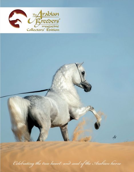 Raoud Albidayer The Arabian Breeders' Magazine