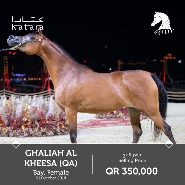 Ghaliah al Kheesa KIAHF auction