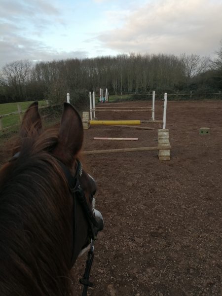  Annia Aurelia jumping at home