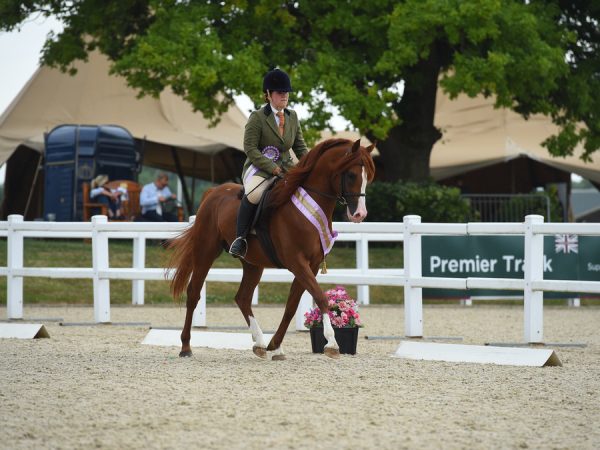 Audace Encore on his winning lap of honour