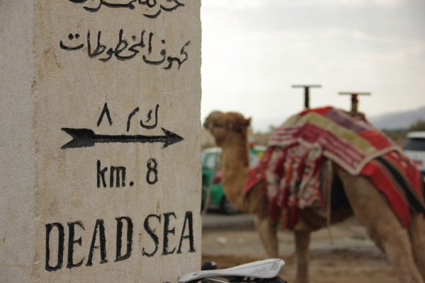 Sign to The Dead Sea with a camel in the background