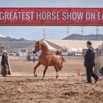 Scottsdale Arabian Horse Show 2023 Scottsdale Arabian Horse Show