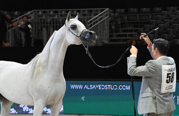 Senior Female World Champion Mozn Albidayer