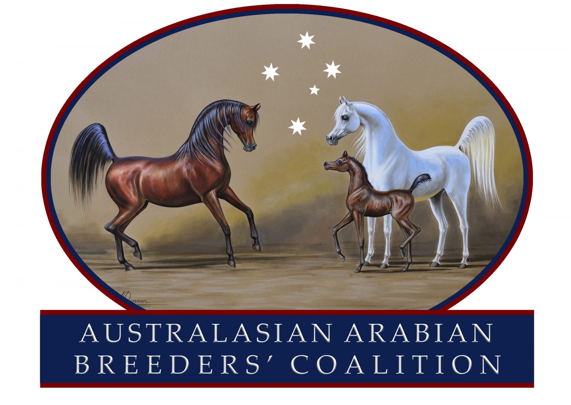 Australasian Arabian Breeders Coalition l Looking Ahead to 2025 - The ...