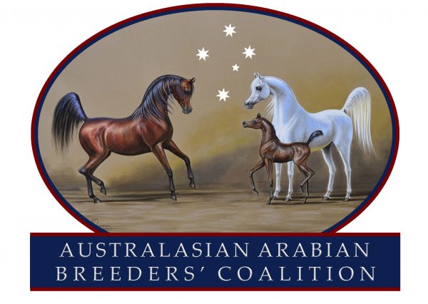 Australasian Arabian Breeders Coalition logo