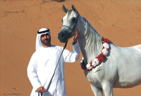 Eskalopja (ex Egzotyka by Probat) with Sheikh Mohammed of Albidayer Stud