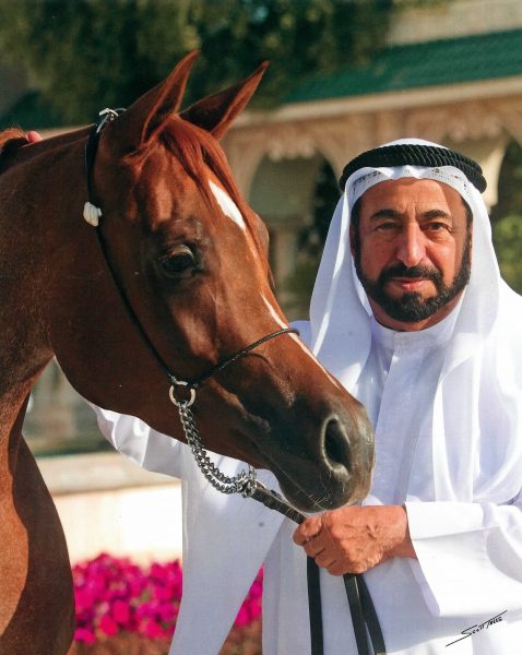 His Highness Dr Sheikh Sultan bin Mohammed Al Qasimi with the Egyptian mare Kahielat Khalid (Al Adeed al Shaqab x Deserree). Credit Scott Trees