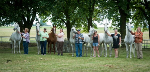 Participants at the Arabian Breeders Insights Tour in 2015 with seven legendary daughters of Monogramm still in residence at Michałów (l-r): Embra, Emmona, Emocja, Espadrilla, Georgia, Palmira and Zagrobla