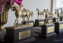 Darley Awards 2023