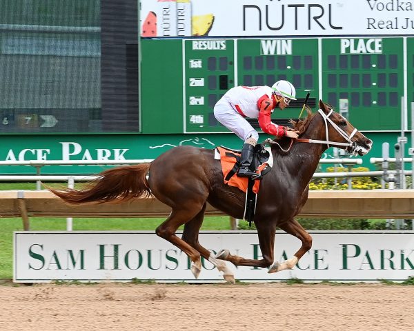 Diamond Gem AA - DARLEY HORSE OF THE YEAR. Photo by Coady Photography