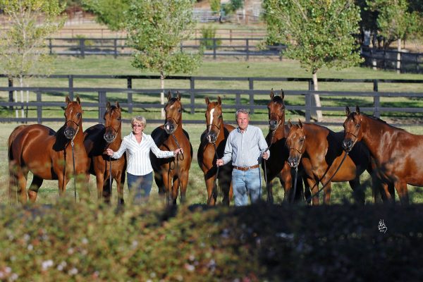 Robert and Dixie North North Arabians Padrons Psyche