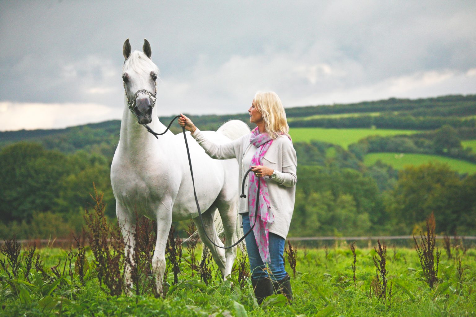Arabians and Susan The Next Chapter The Arabian Magazine