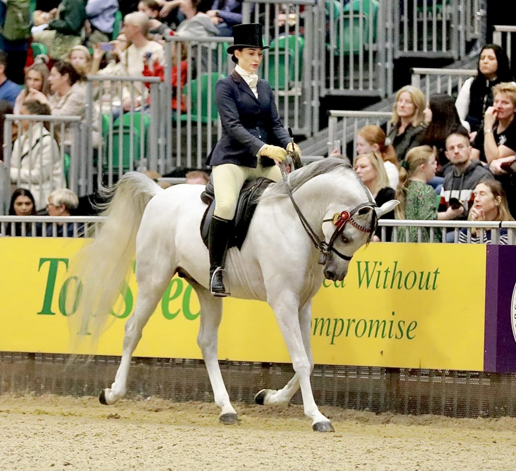 Horse of the Year Show 2023 The Arabian Magazine