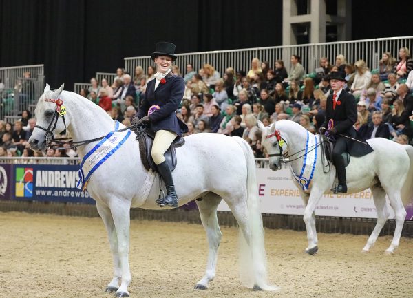 Refeekah. Reserve Champion HOYS