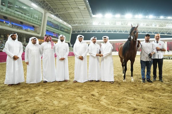 Falah al Shaqab