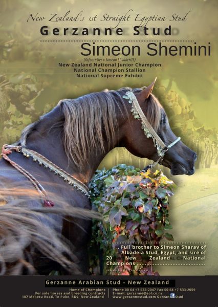 Simeon Shemini Gerzanne Stud