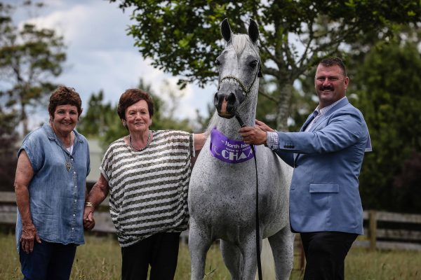 SS Tifla -Gerzanne Arabians Sue Spratt Bev Jones