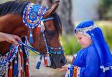 Australasian Arabian Breeders Coalition l Looking Ahead to 2025 Boy and Arabian horse in blue Arabian costume - the boy is smiling and hold his hand to the horse's muzzle