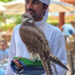 Day 7 WAHO Live! Abu Dhabi 2025