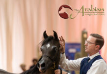 The Magic Continues: Al Noor Suleiman