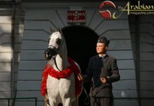 Celebrating the Pride of Poland