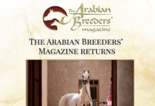 The Arabian Breeders’ Magazine returns!