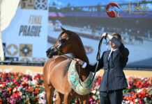 Drama and Triumph at GCAT Finale