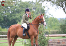 The Girl with the Jumping Arabs – The Showgirl