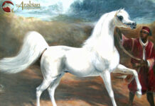 Deborah Rush – A Gift to the World