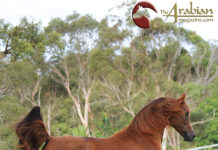 The Enduring Fame & Fortune of Fame Maker R